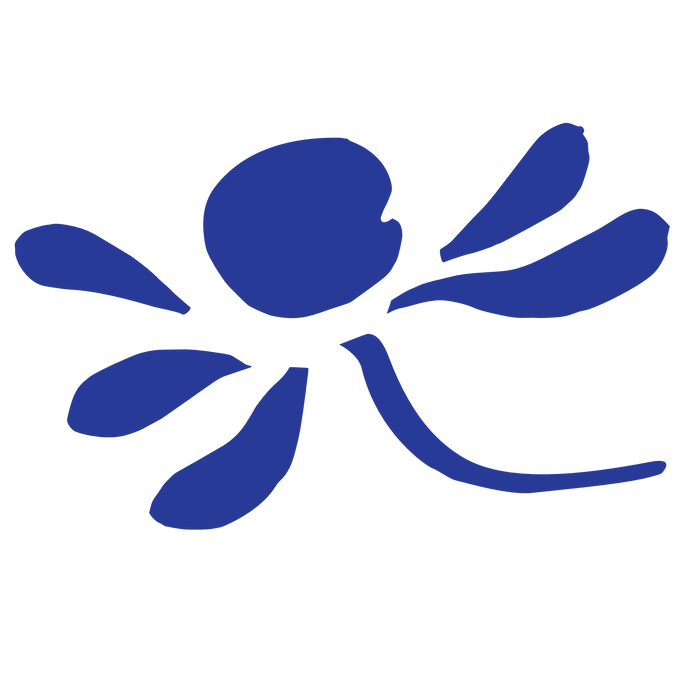 New Soapmatter's logo