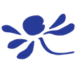 Soap Matters logo. Roman Chamomile flower.