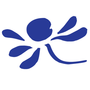 Soap Matters logo. Roman Chamomile flower.
